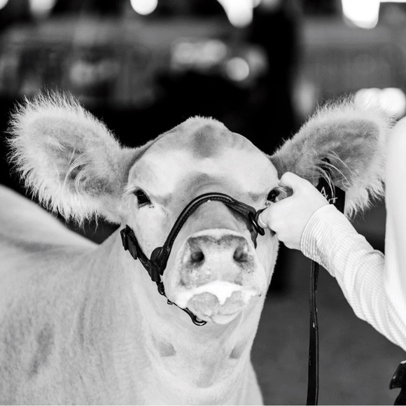 Meet your Posher, Cailee - Picture 1 of 1